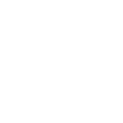Data Breaches